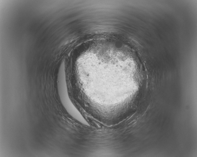X0000056320917200509231942