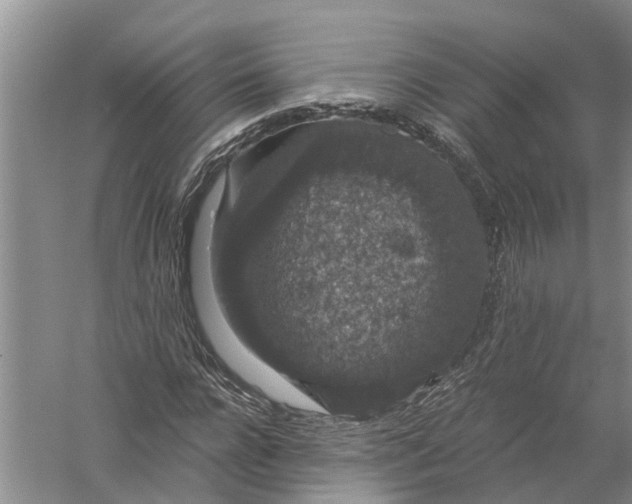 X0000056320920200509231942