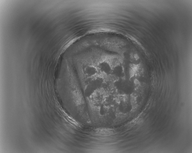 X0000056320921200509231942