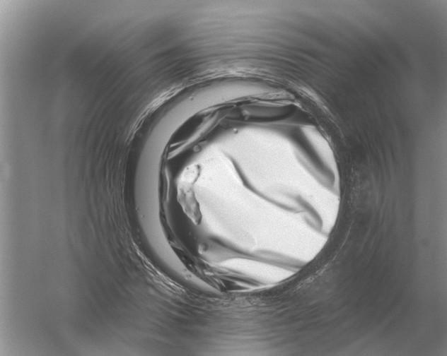 X0000056320922200509231942