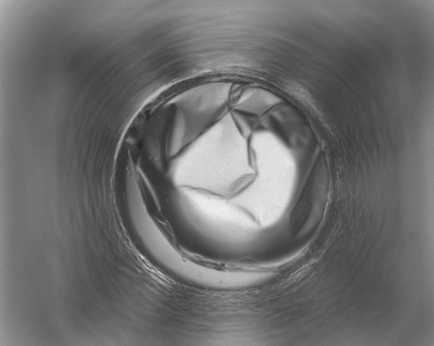 X0000056320924200509231943