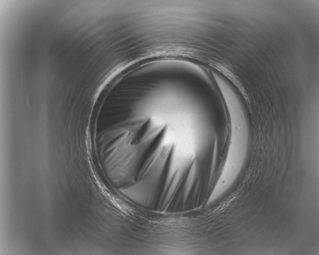 X0000056320936200509231943