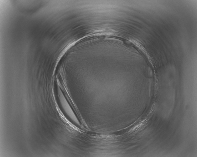 X0000056320941200509231943