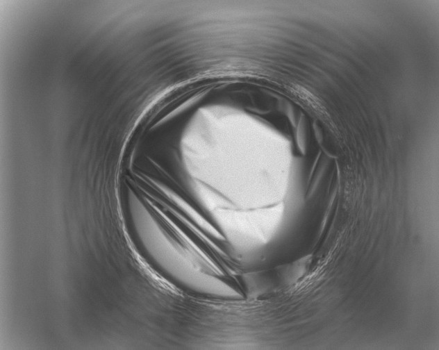 X0000056320942200509231943