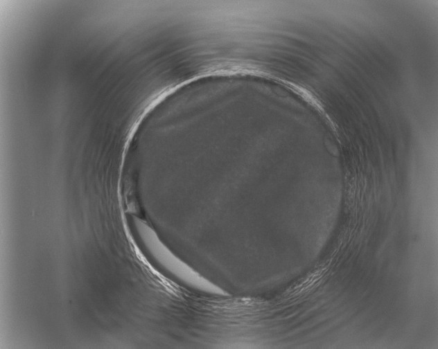 X0000056320943200509231943