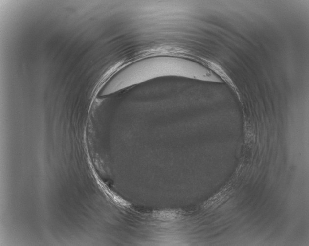 X0000056320946200509231943