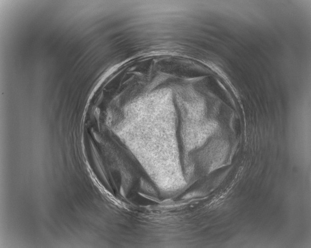 X0000056320949200509231943
