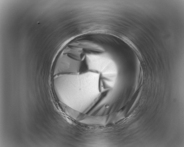 X0000056320956200509231943