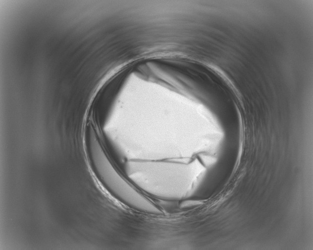 X0000056320957200509231943