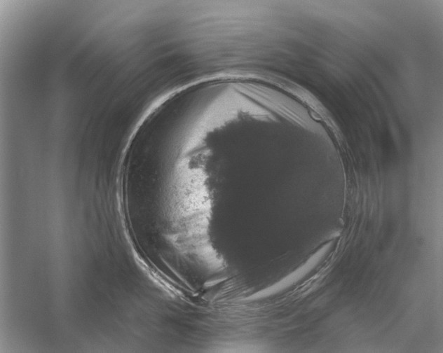 X0000056320958200509231943