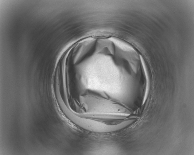 X0000056320960200509231943