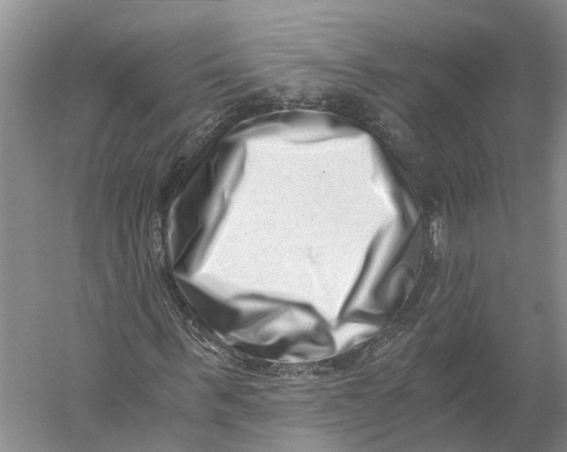 X0000056320963200509231942