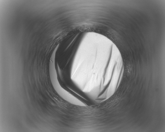 X0000056320964200509231942