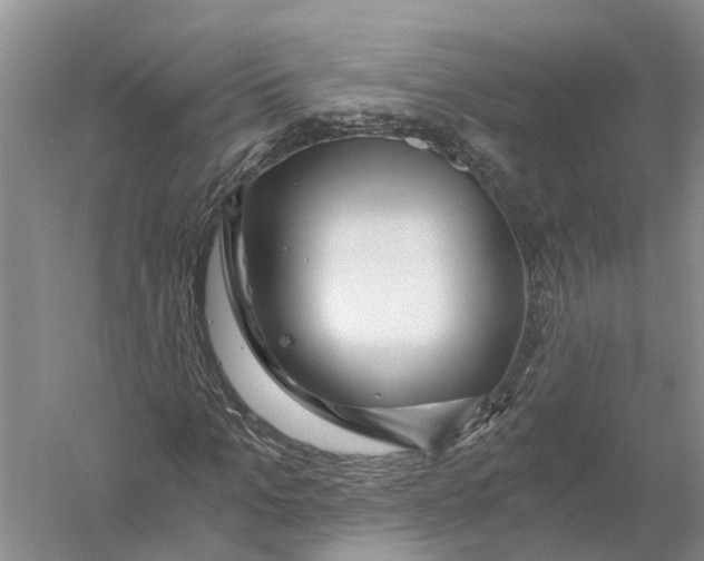 X0000056320965200509231942