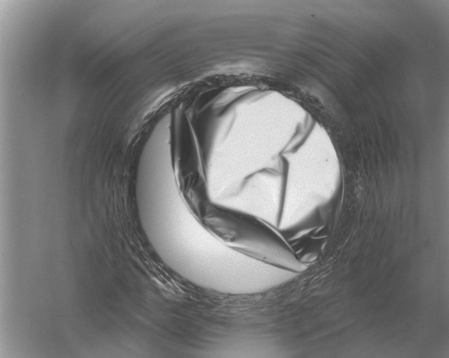 X0000056320968200509231942