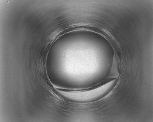X0000056320969200509231942