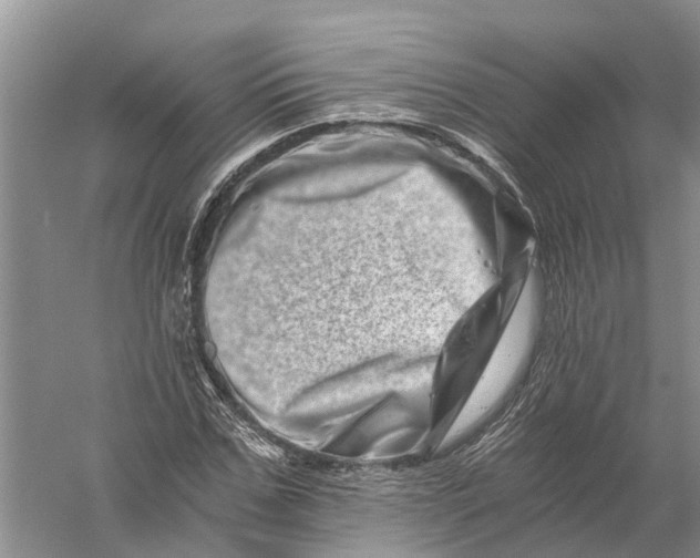 X0000056320971200509231942
