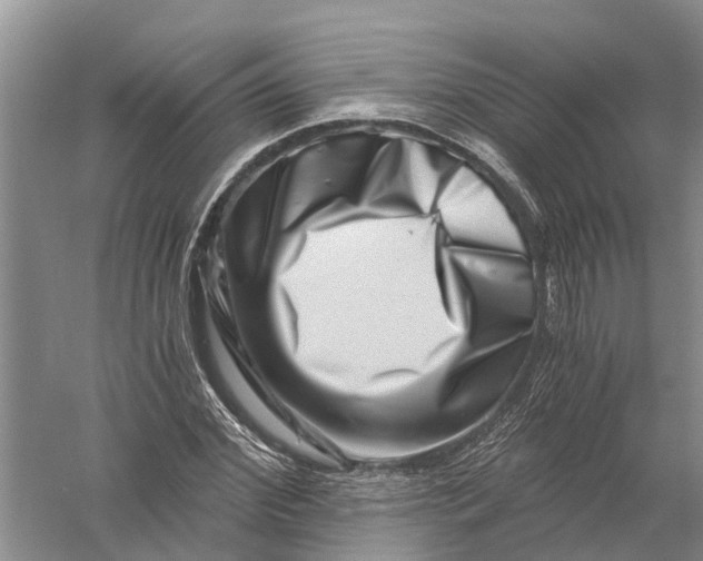 X0000056320972200509231942