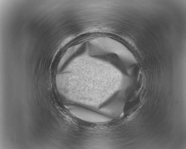 X0000056320974200509231942