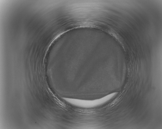 X0000056320975200509231942