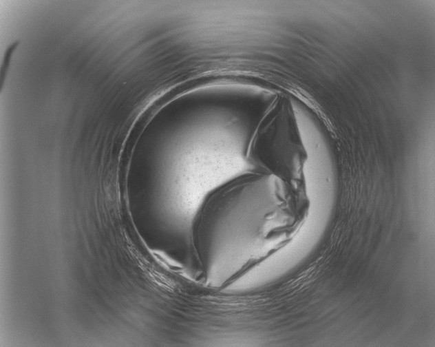 X0000056320980200509231942