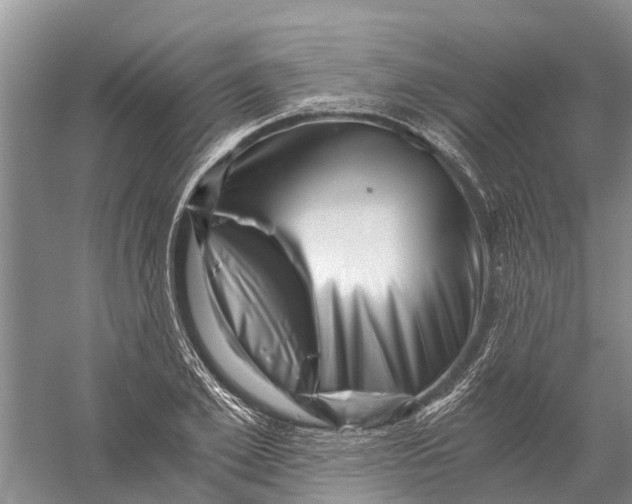 X0000056320981200509231942