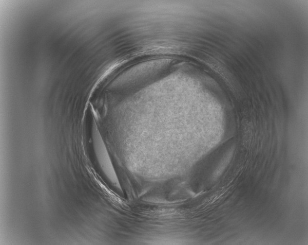 X0000056320982200509231942