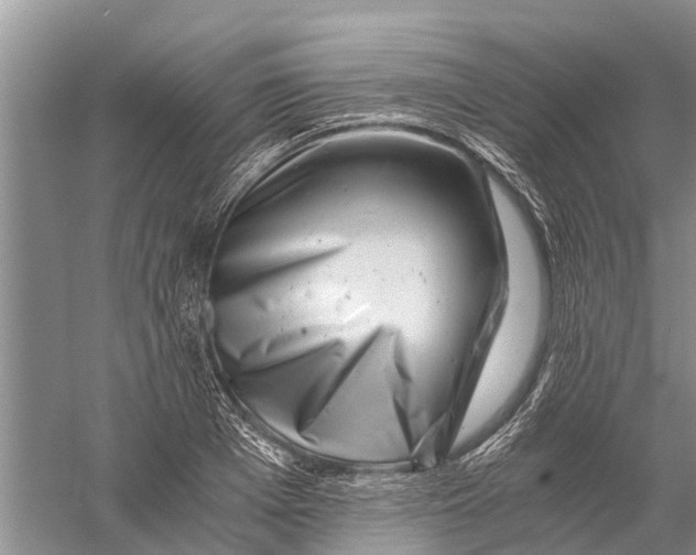 X0000056320985200509231942
