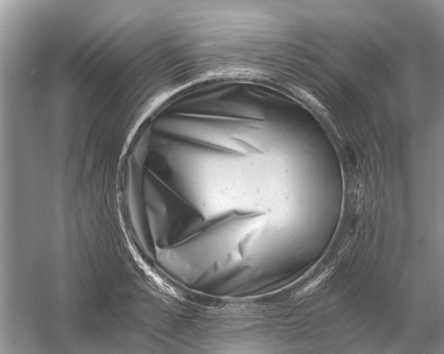 X0000056320989200509231942