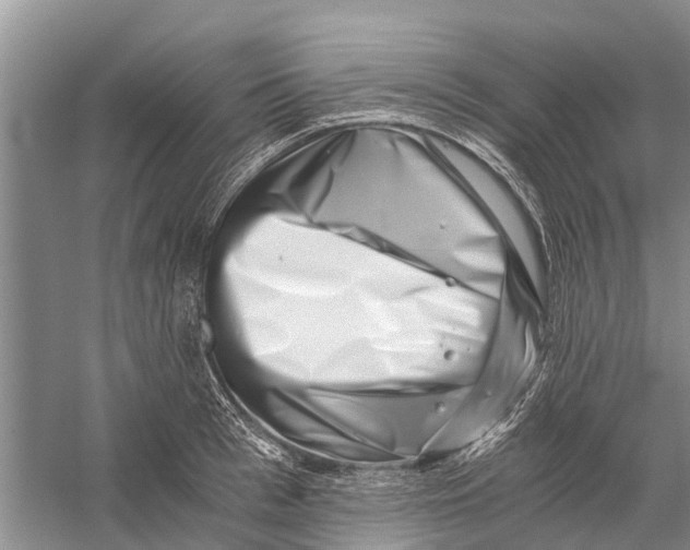 X0000056320993200509231942