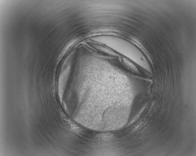 X0000056320994200509231942