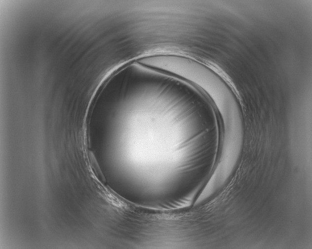 X0000056320996200509231942