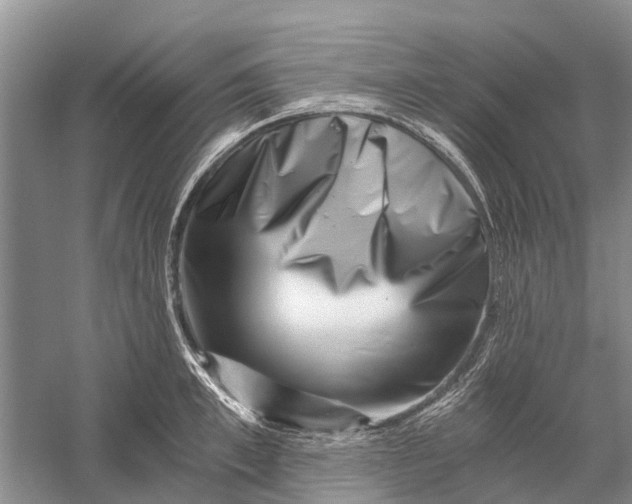 X0000056320997200509231942