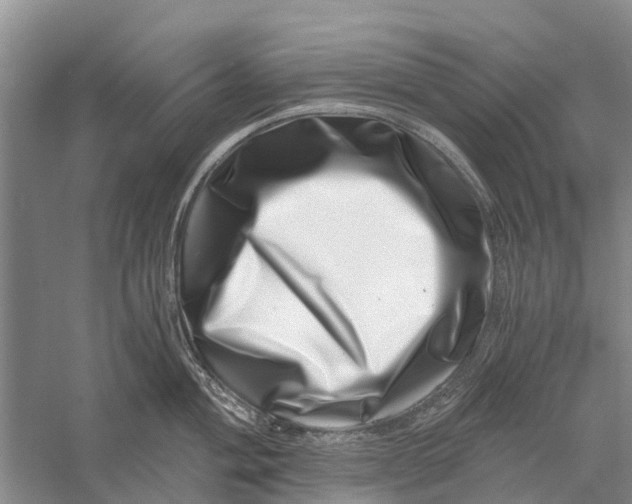 X0000056321004200509231942