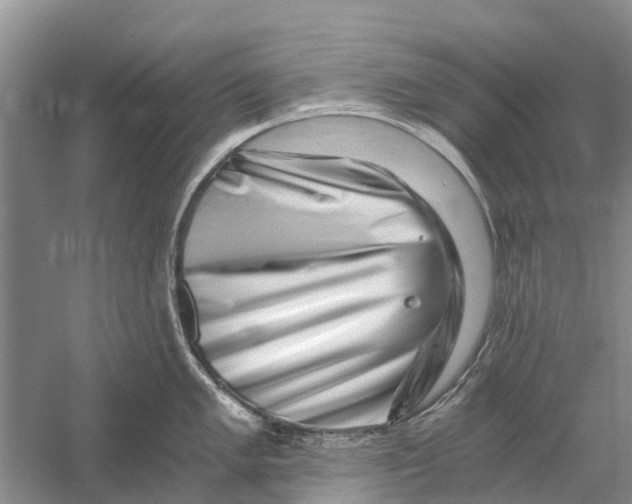 X0000056321005200509231942