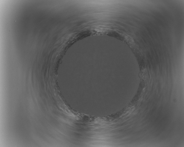 X0000056321009200509231941