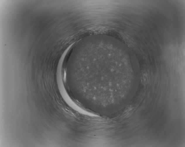 X0000056321010200509231941