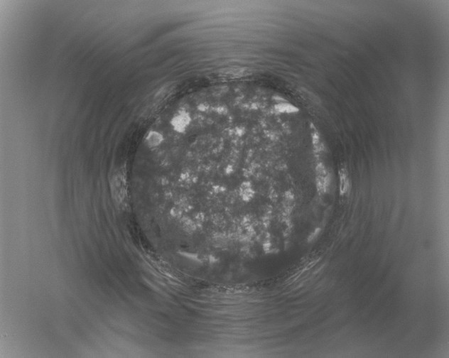 X0000056321011200509231941