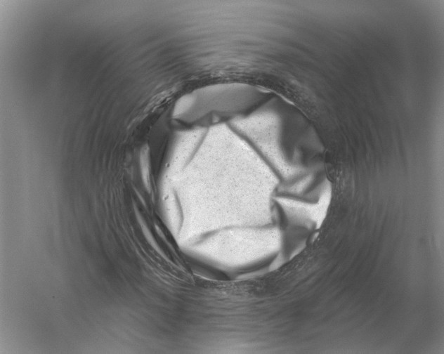 X0000056321012200509231941