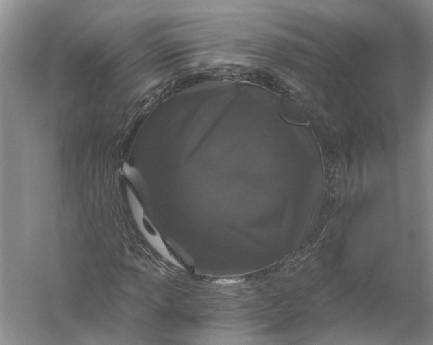 X0000056321013200509231941