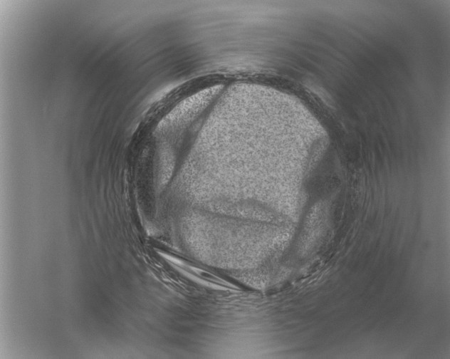 X0000056321016200509231941