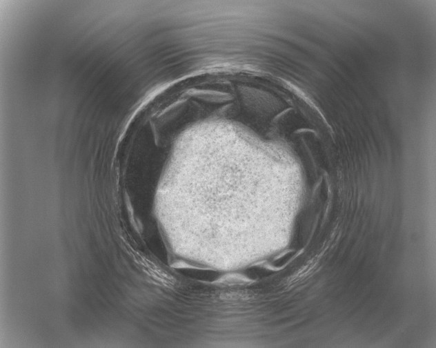 X0000056321021200509231941