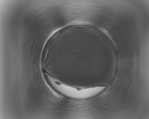 X0000056321024200509231941