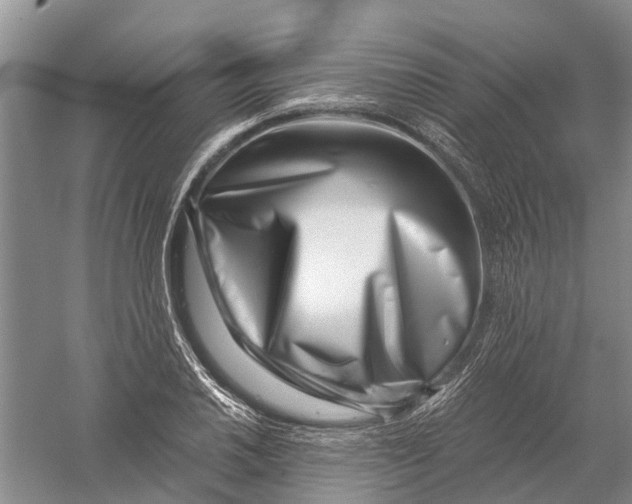 X0000056321030200509231941