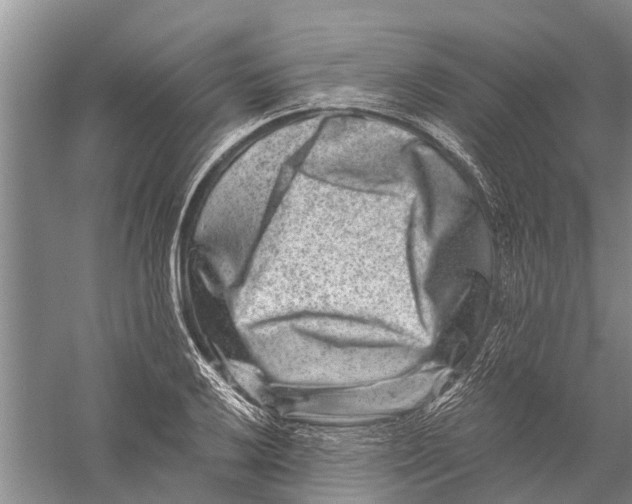 X0000056321032200509231941