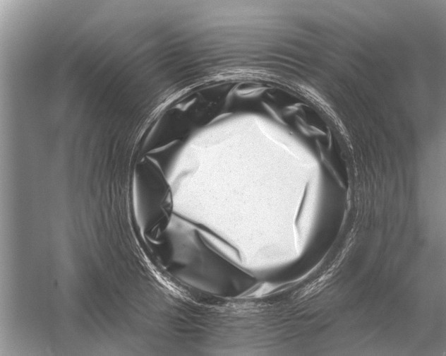 X0000056321041200509231941