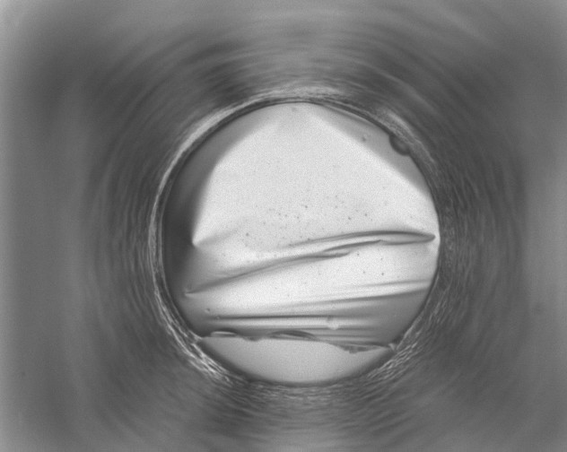X0000056321044200509231941
