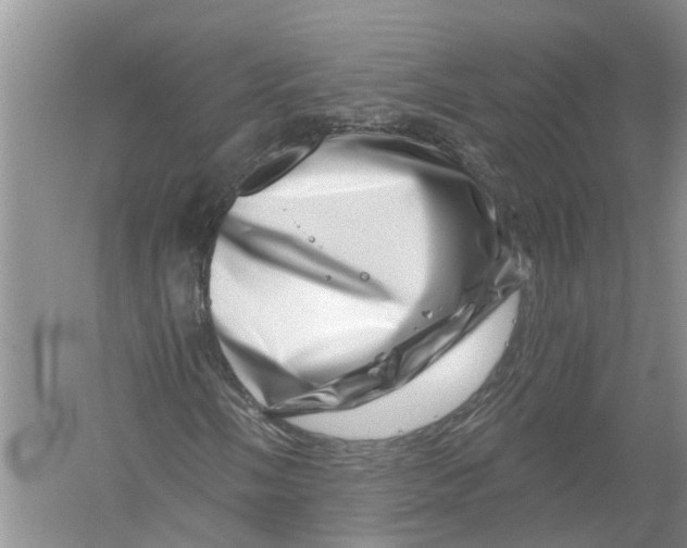 X0000056321058200509231941