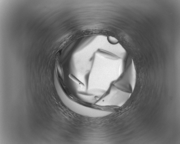 X0000056321062200509231941