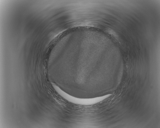 X0000056321064200509231941